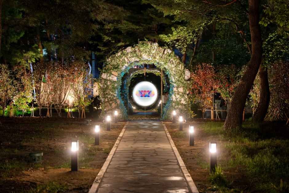하슬라강릉 아머시브아트쇼 / 사진=한국관광콘텐츠랩