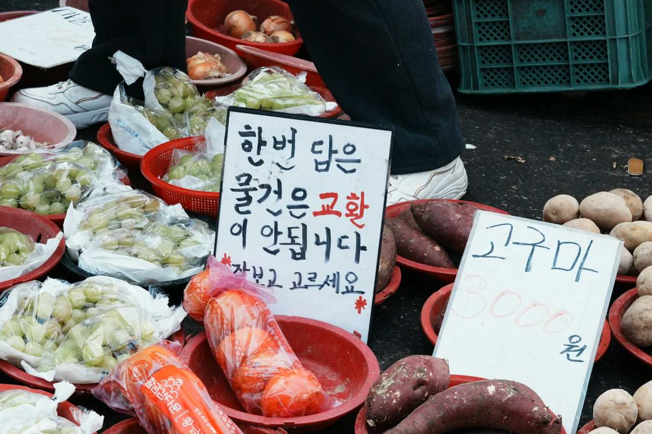 국내맛집여행 추천 도시 베스트 / 사진=unsplash