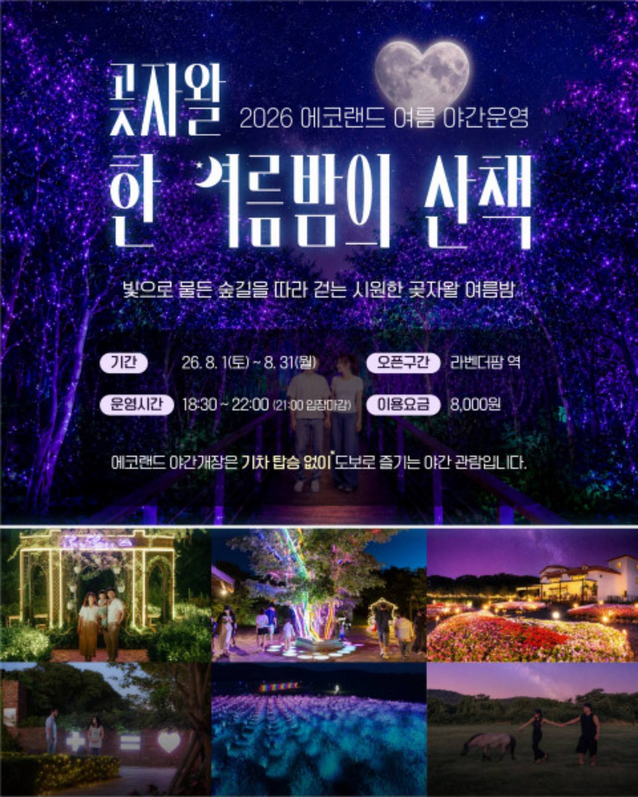 에코랜드 곶자왈 한 여름밤의 산책 포스터