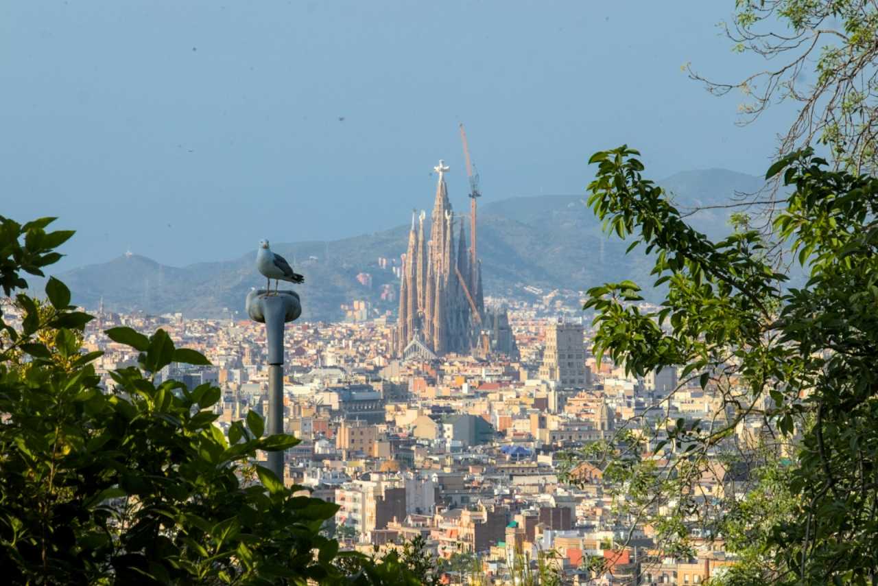 유명 관광지는 사전 예약 필수 / 사진=unsplash