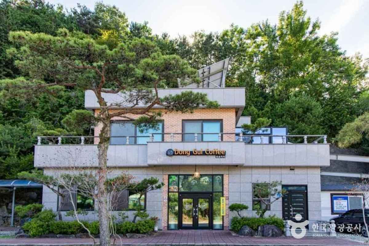 진짜 금광이었습니다 / 사진=한국관광콘텐츠랩