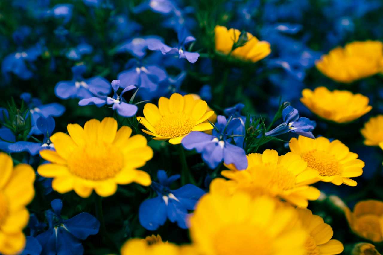 일상탈출 8월 해외여행지 추천 리스트 / 사진=unsplash