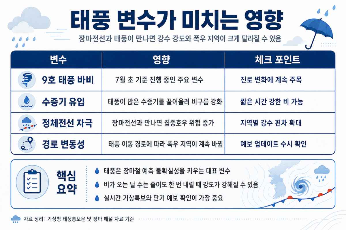 태풍 변수 / ⓒ인포매틱스뷰