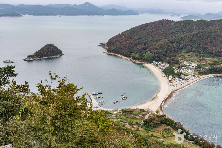 천연기념물 팔손이나무 자생지도 둘러보기 / 사진=한국관광콘텐츠랩