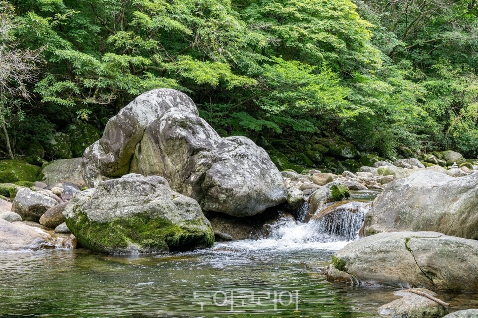 남원 뱀사골 게곡/사진=남원시