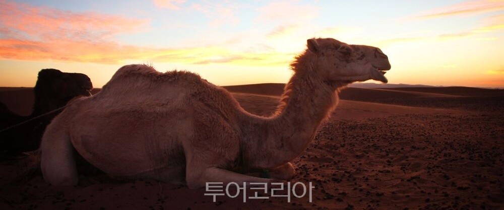 아이트 벤 하두 사막 / 사진-모로코관광청