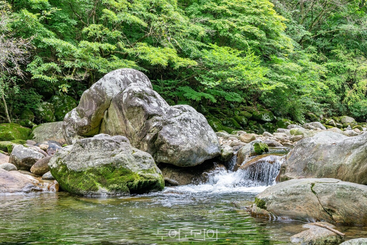 뱀사골 계곡/ 사진-남원시