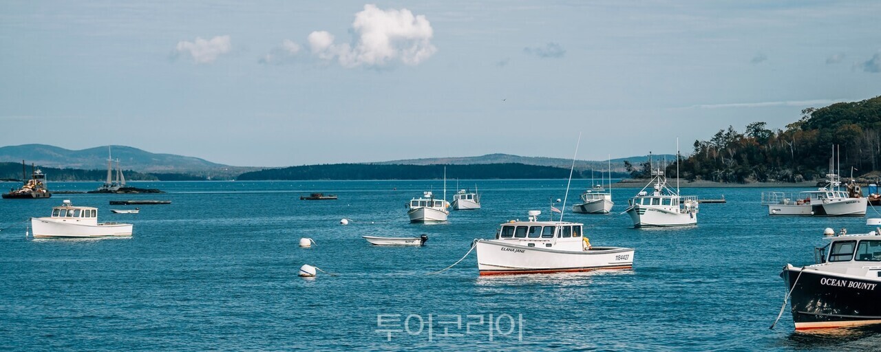 사진-미국관광청