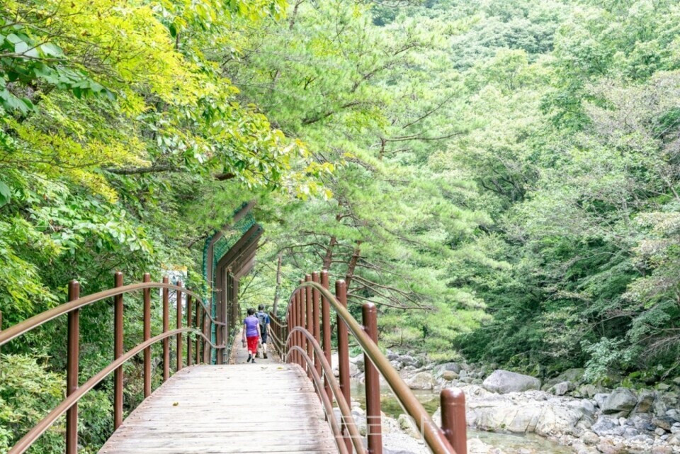 남원 뱀사골/ 사진=남원시