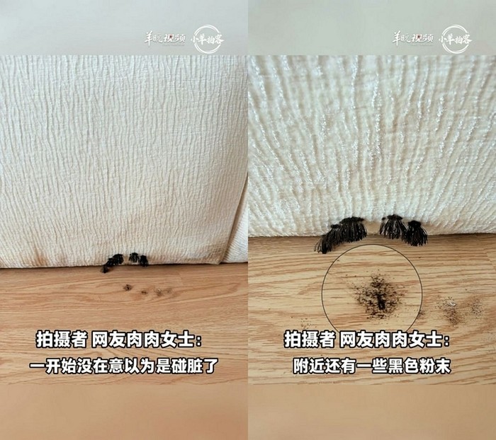 [사진=양청만보]