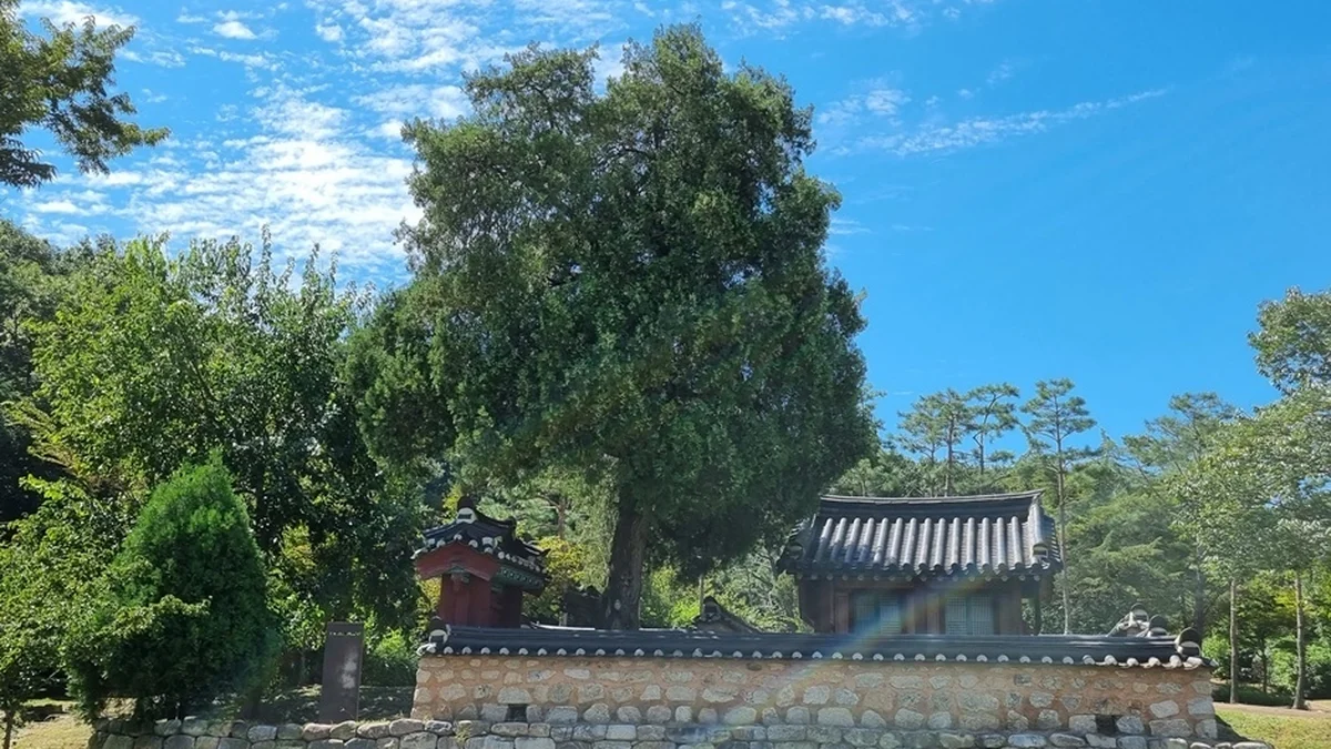 모담공원