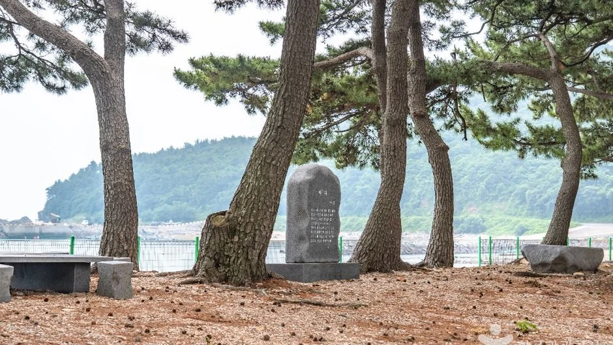 금장해수욕장