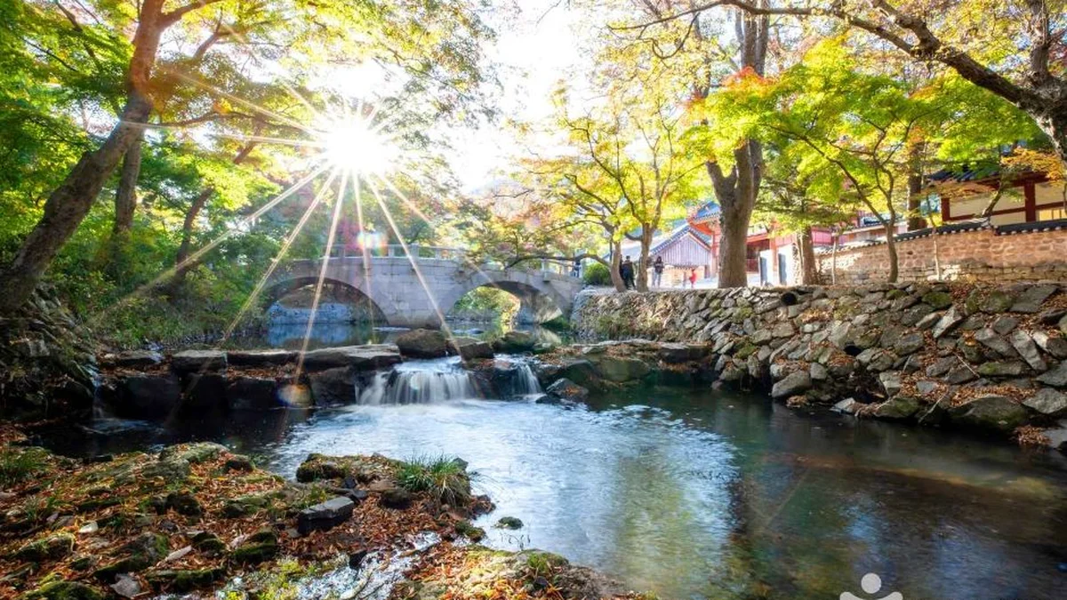 도솔계곡(선운산)