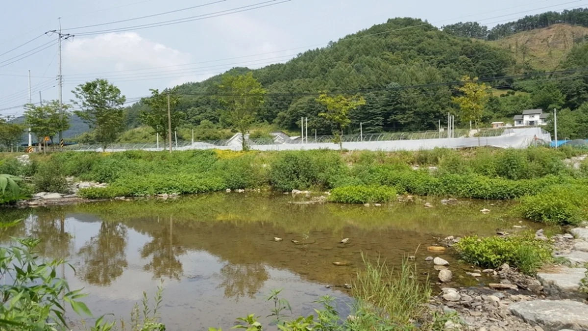 대덕숲유원지