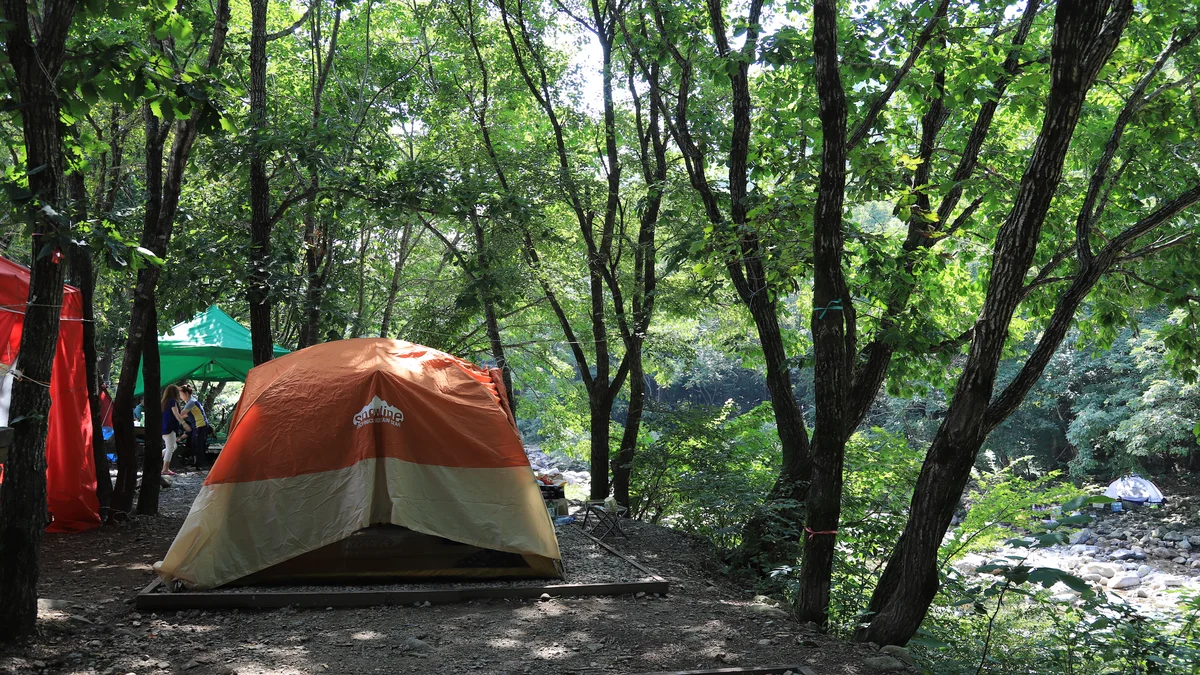 미시령계곡캠핑장