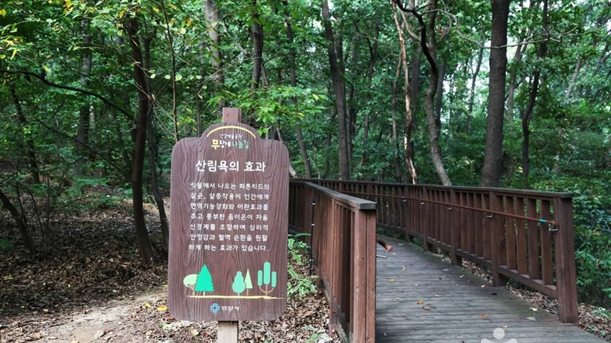 삼성산산림욕장