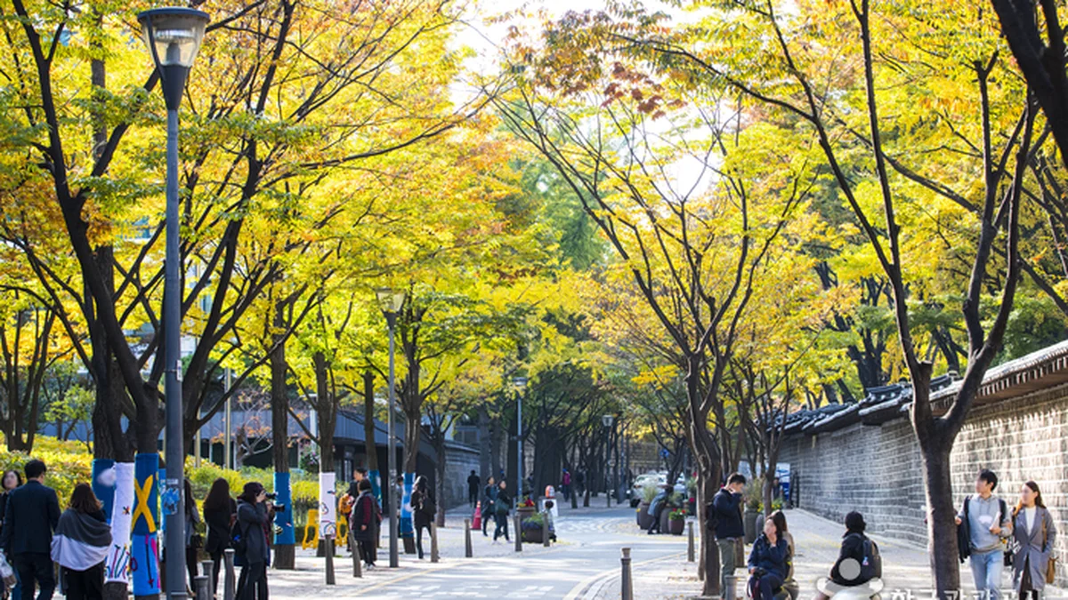 덕수궁 돌담길