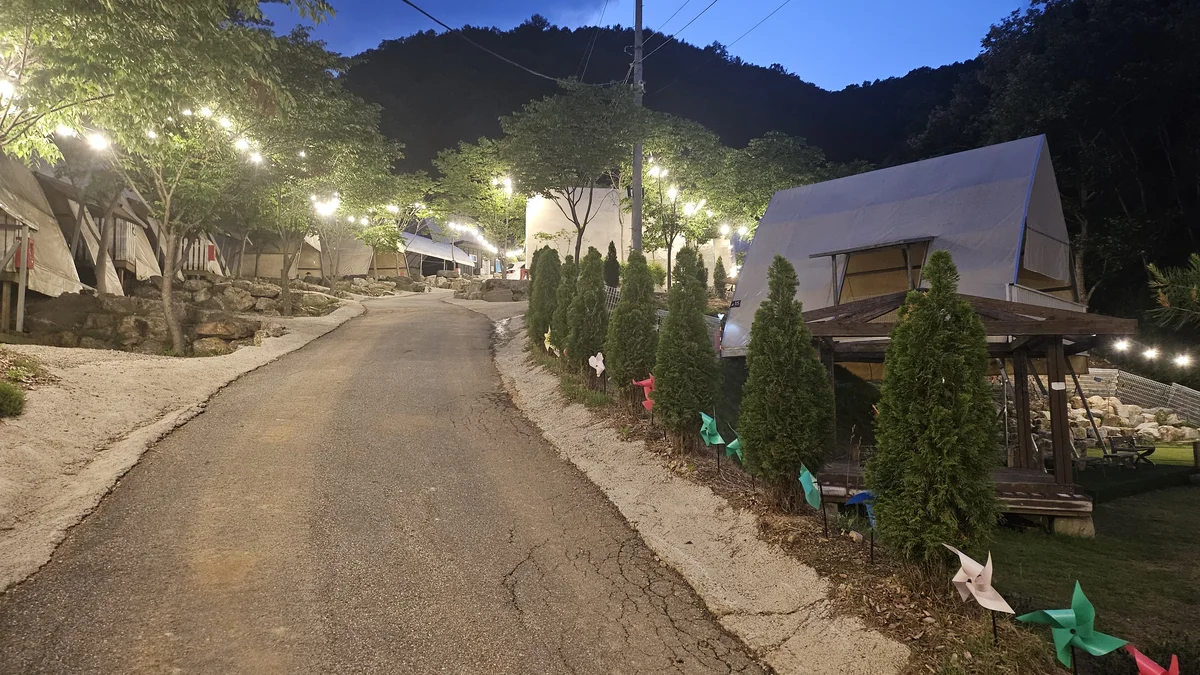 숲이야기