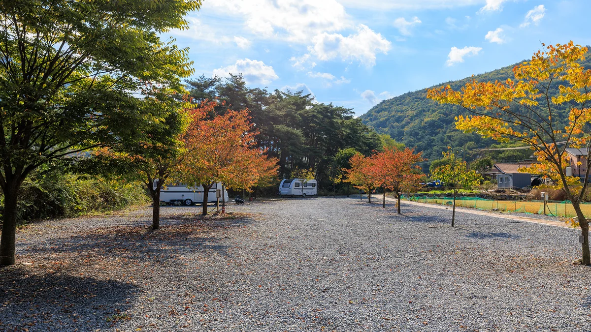 월악산억수솔밭캠핑장