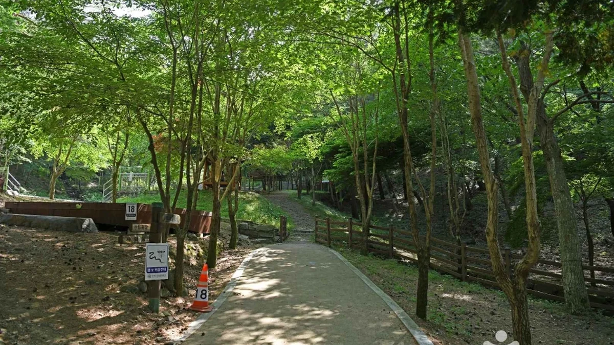 만수산자연휴양림