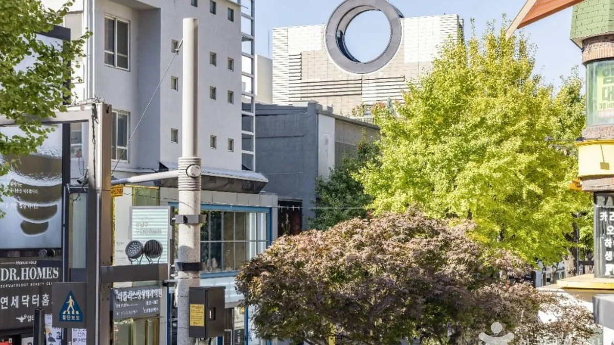 신사동 가로수길