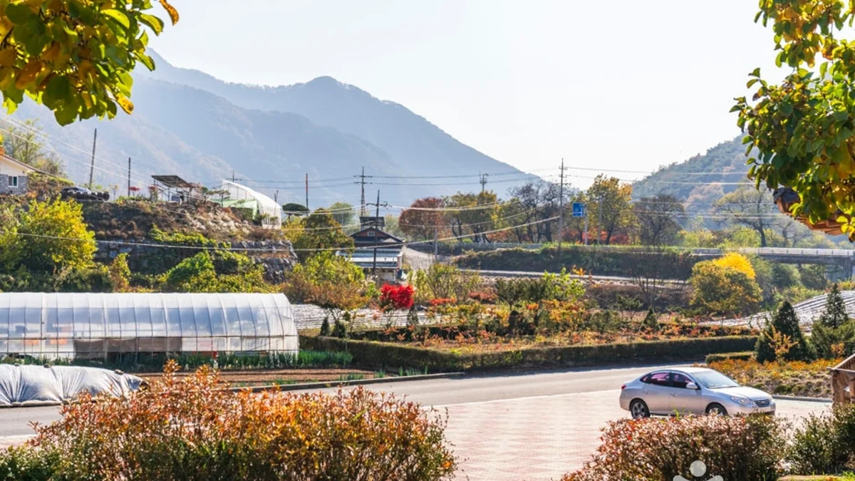 단양 향산리 삼층석탑