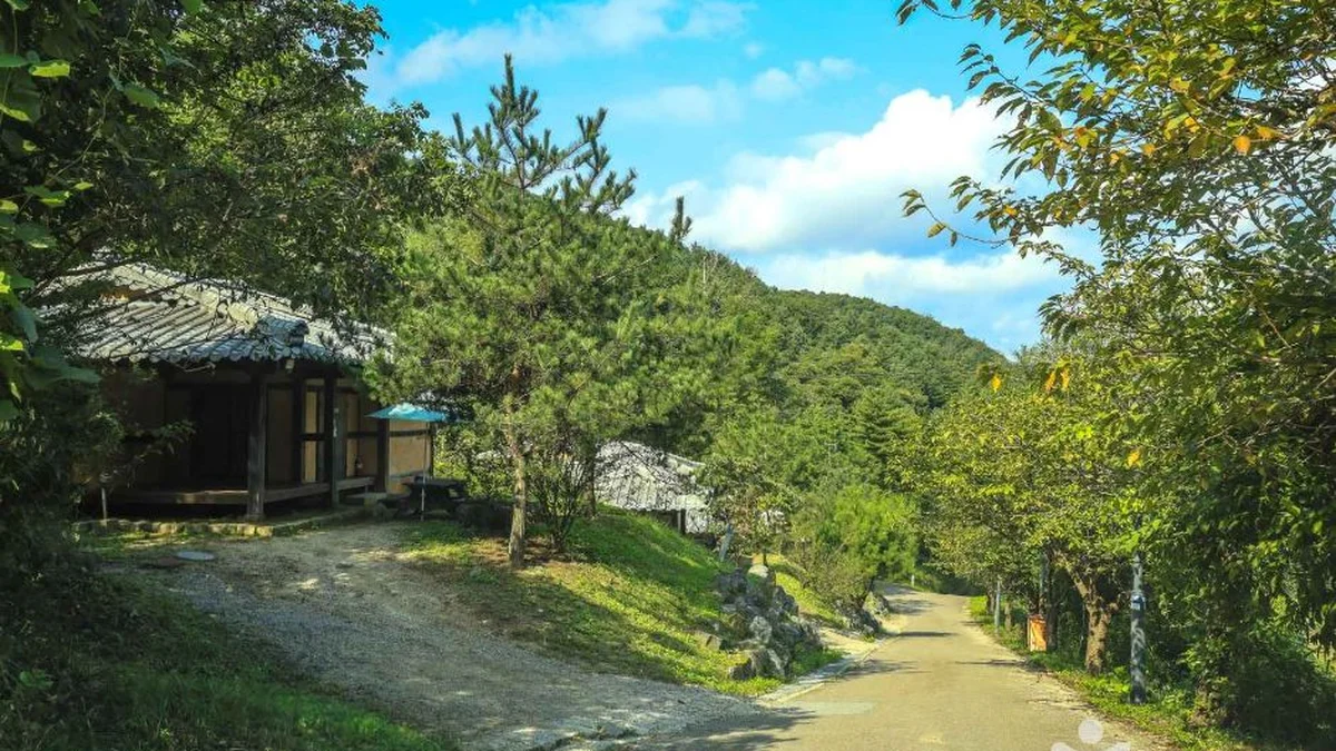양평 맑은숲캠프