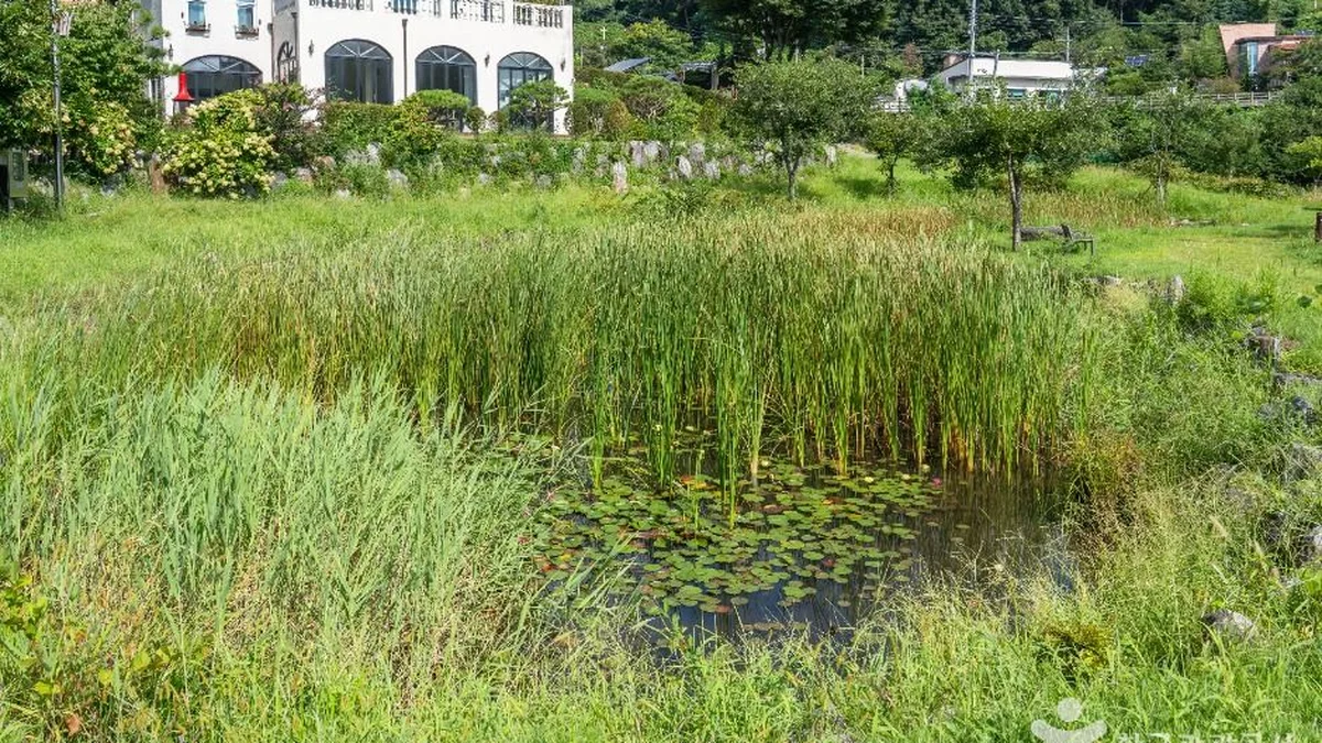 삼정생태공원