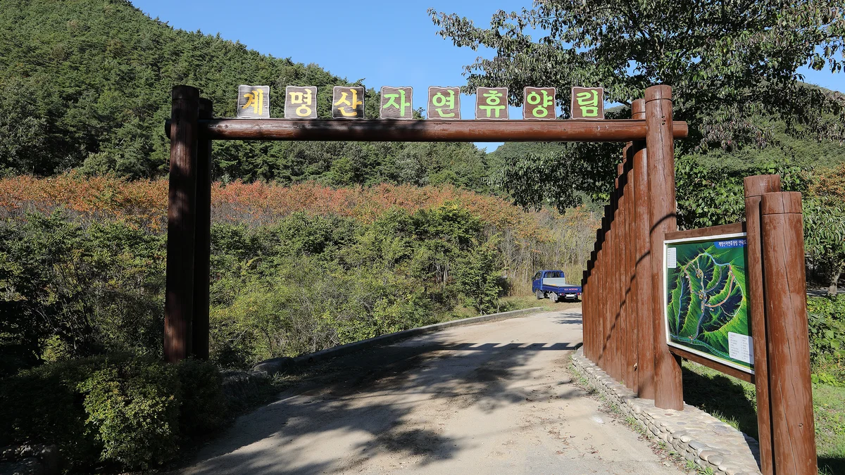 계명산자연휴양림 야영장