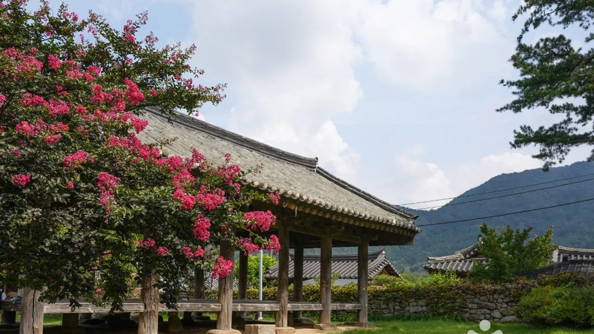 한밤마을돌담길