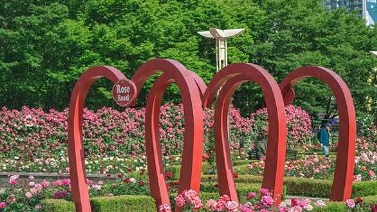 이곡장미공원