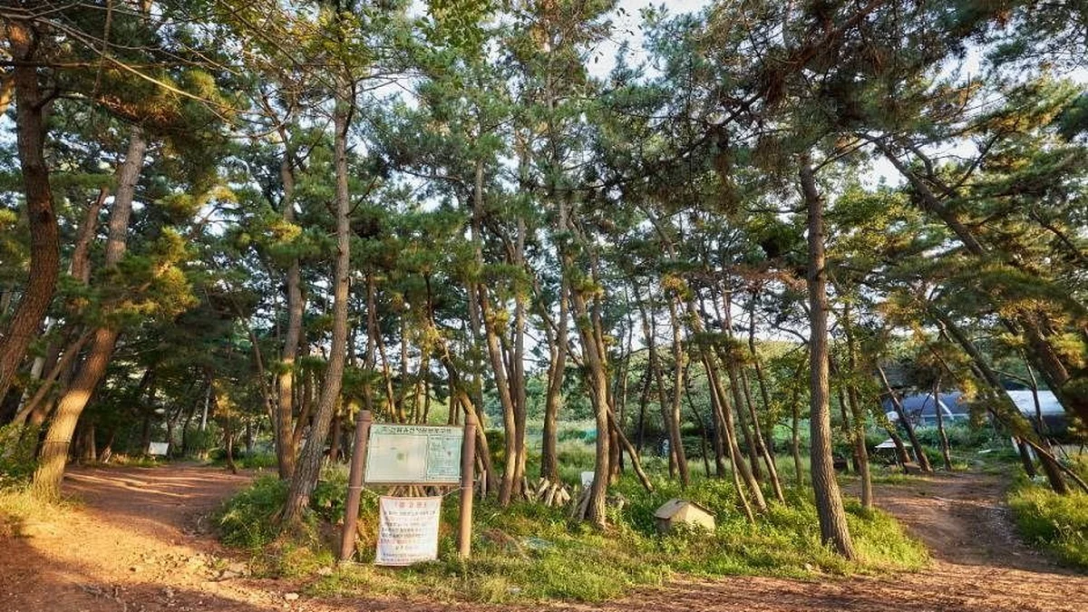 호룡곡산