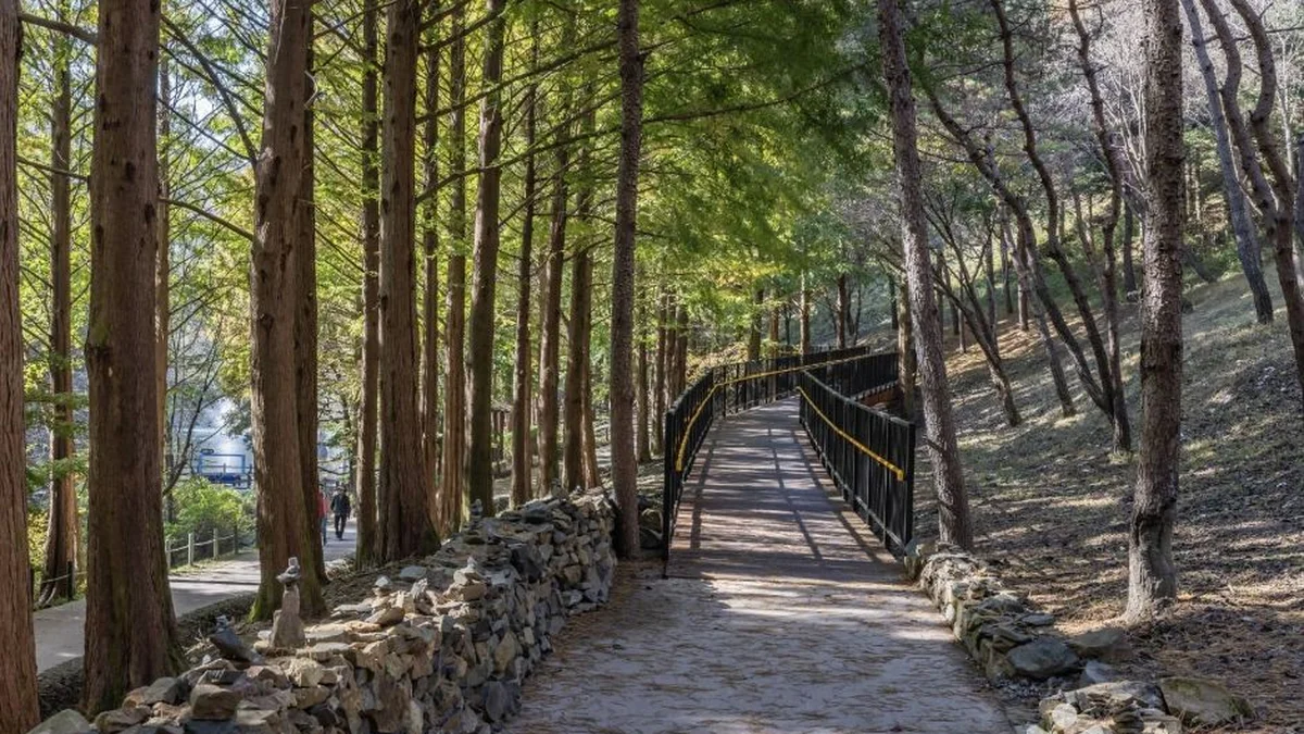 미동산수목원