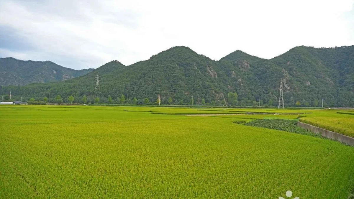 산양마을