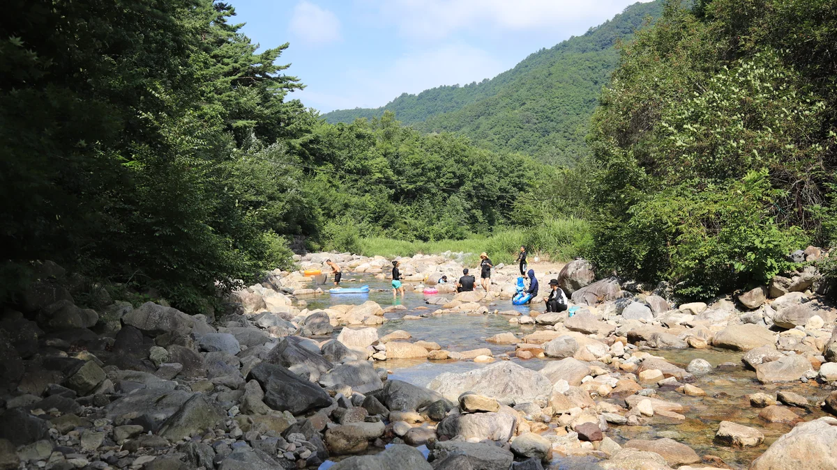 미시령계곡캠핑장