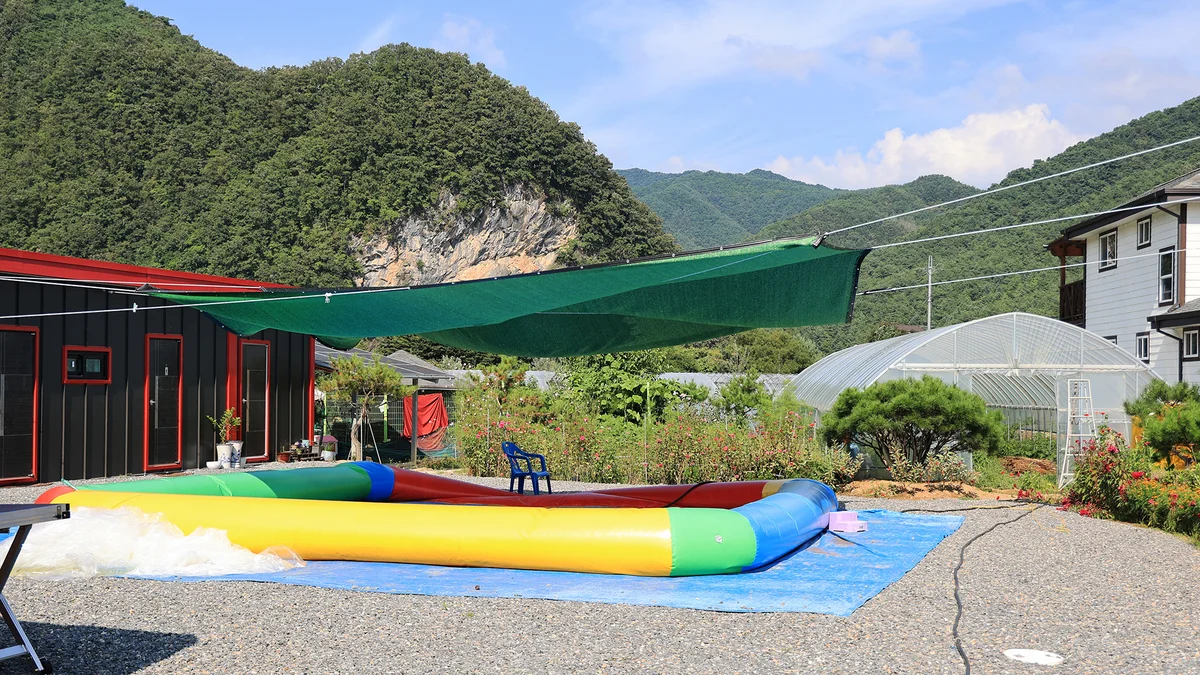 올캠프(ALL camp)