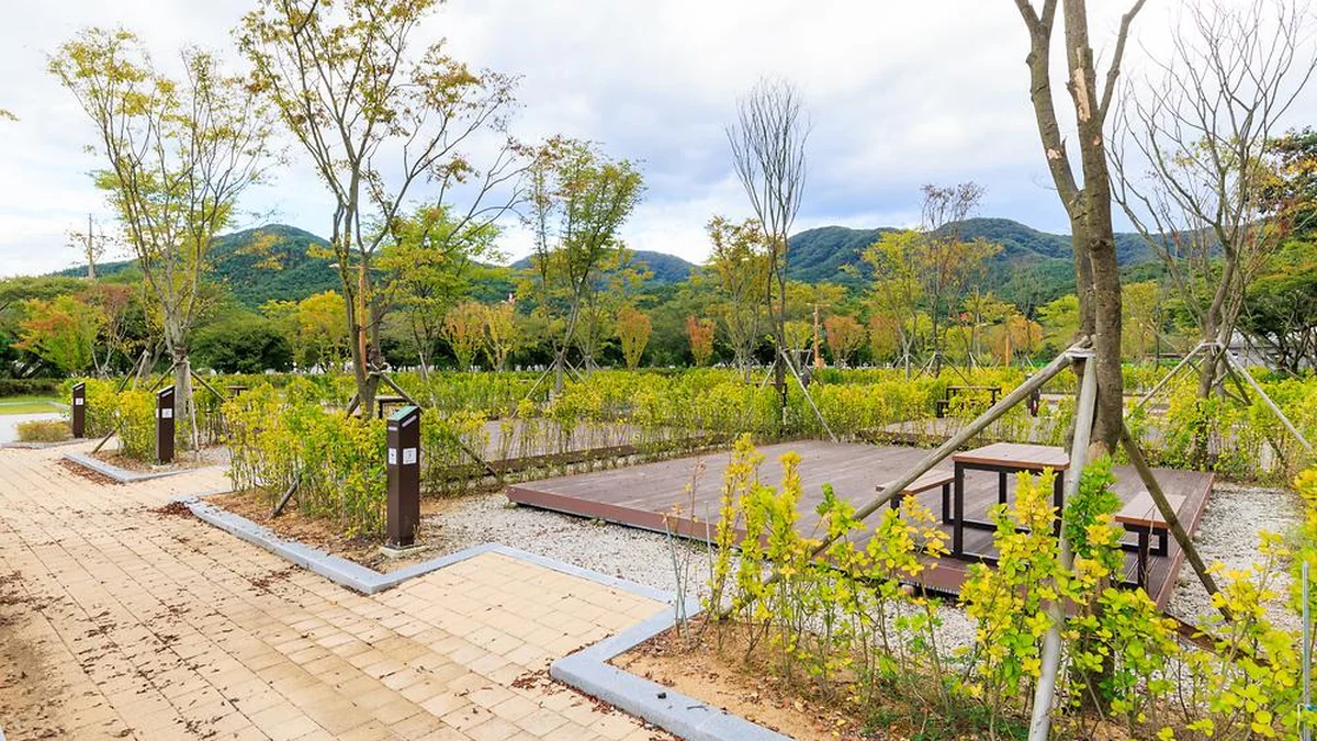 내장산국립공원 내장호야영장