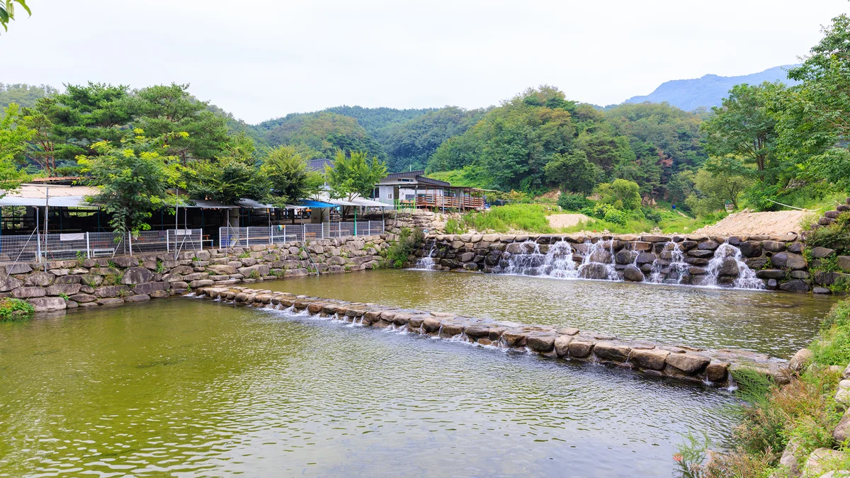 팔공 쉼터 야영장