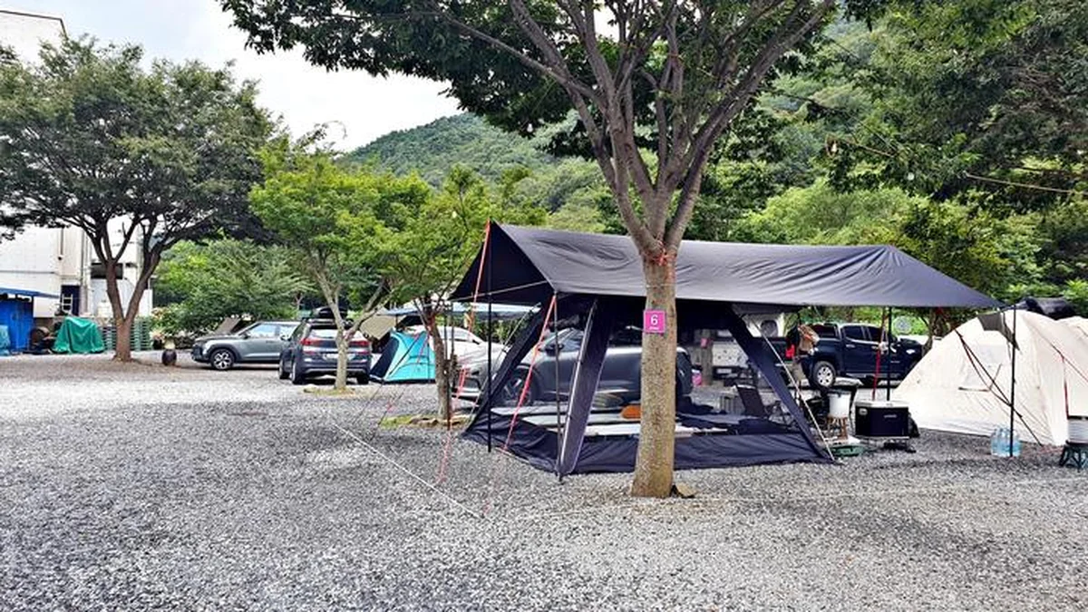 솔밭캠프