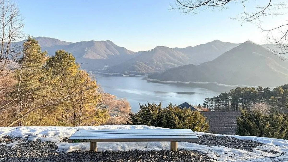 우림정원