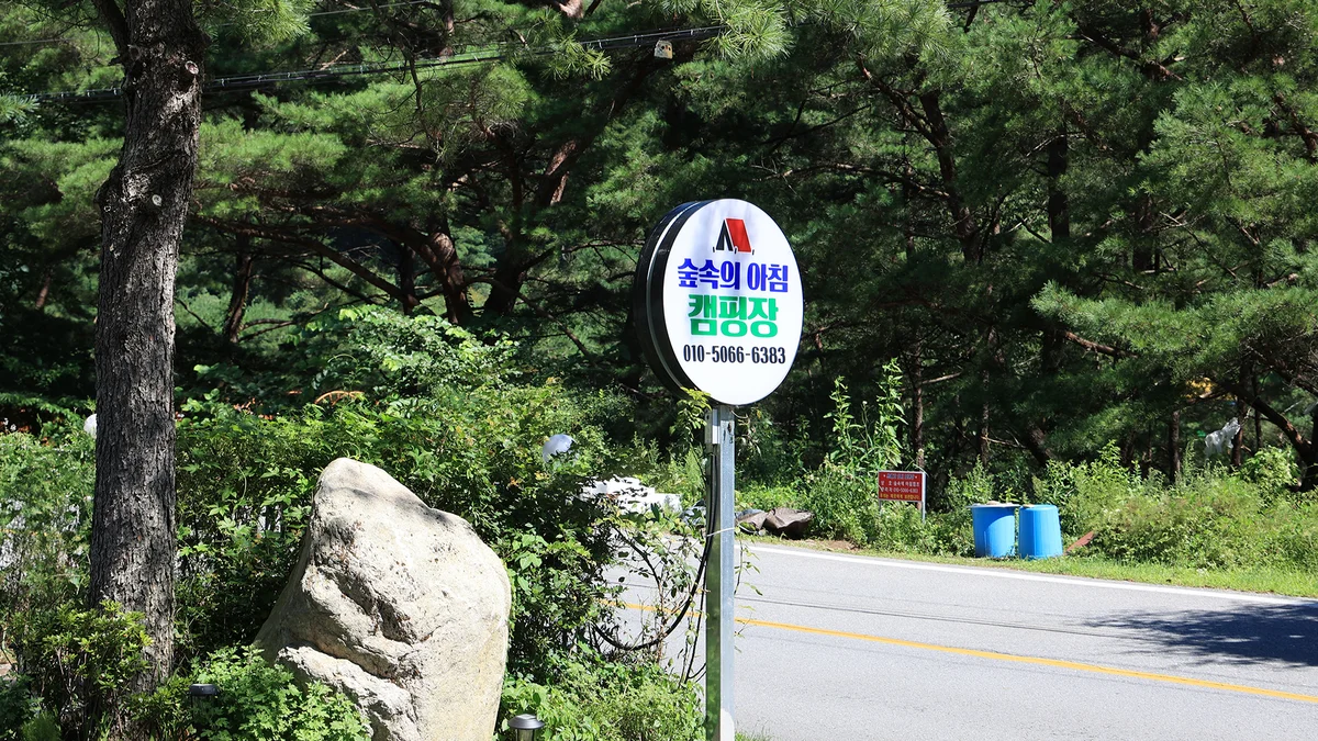 숲속의아침