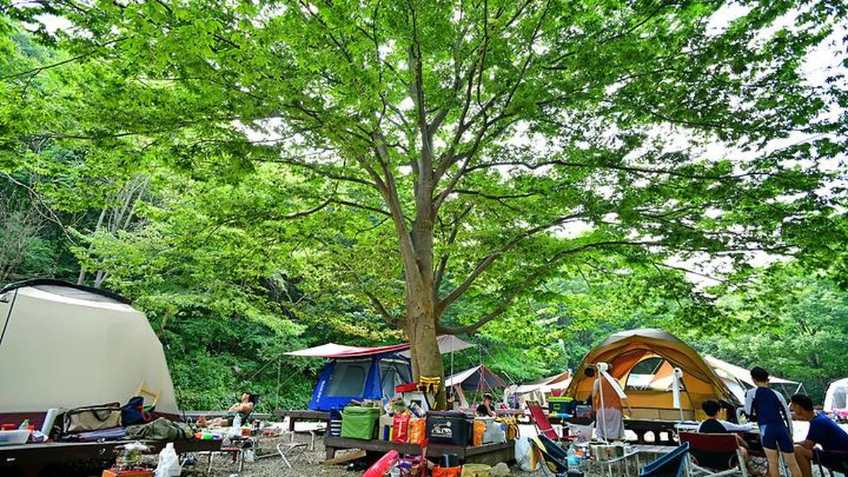 국립운장산자연휴양림 야영장