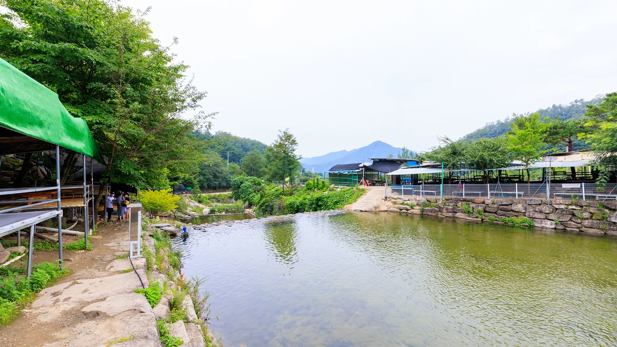 팔공 쉼터 야영장