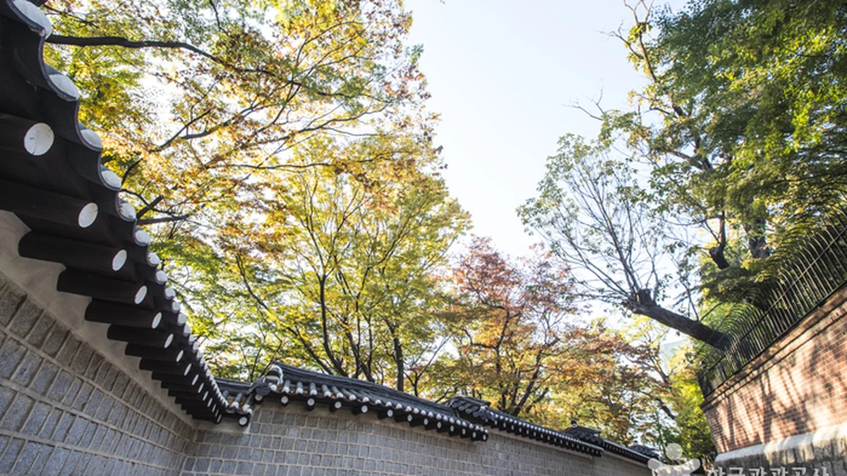 덕수궁 돌담길
