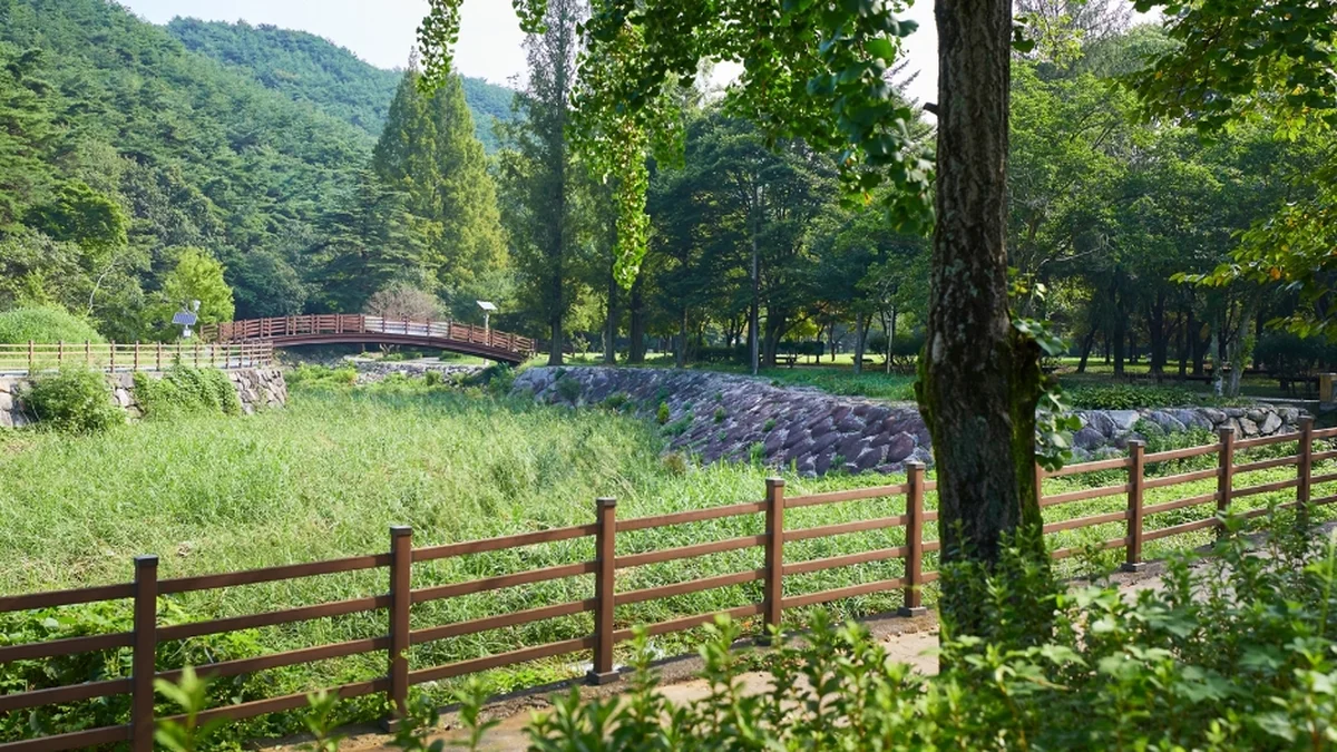모악산도립공원