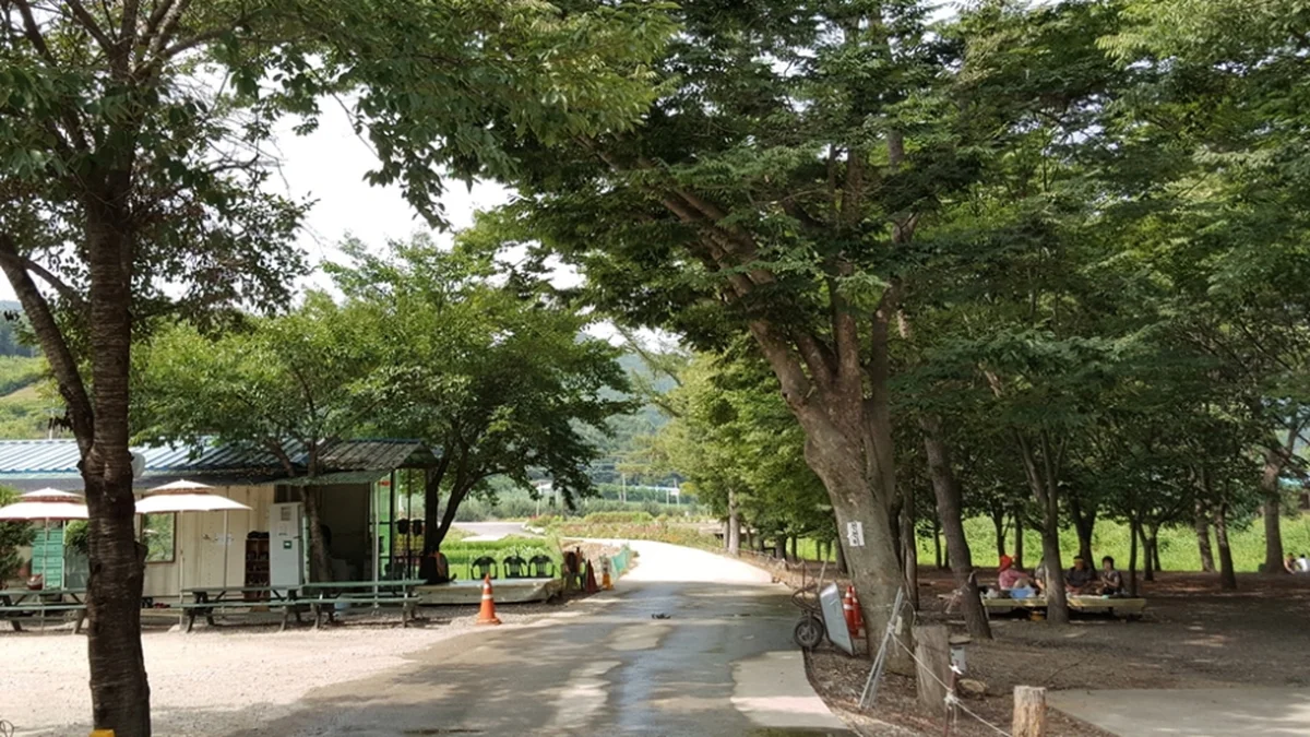 대덕숲유원지