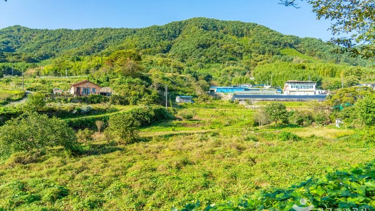 궁항마을