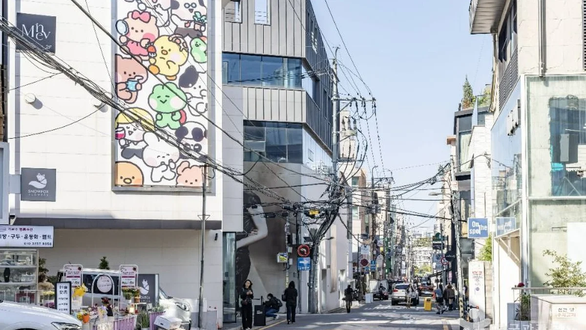 신사동 가로수길