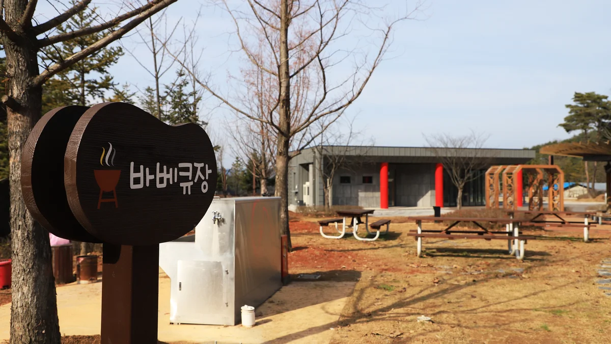 국토정중앙천문대야영장