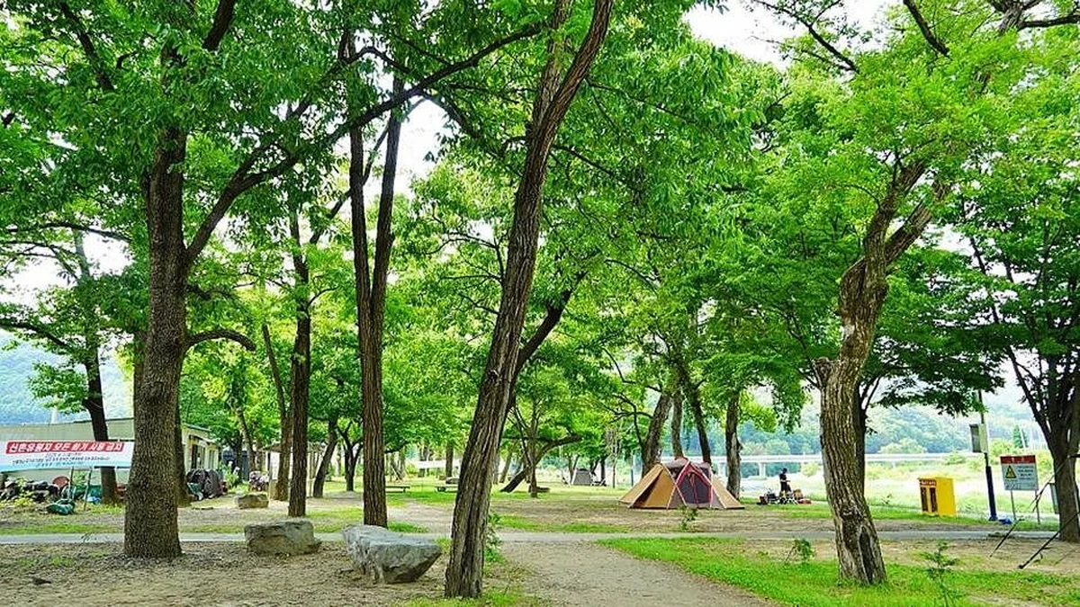 고령 주산성